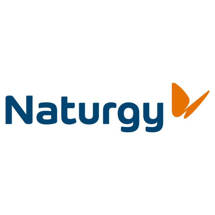 Naturgy